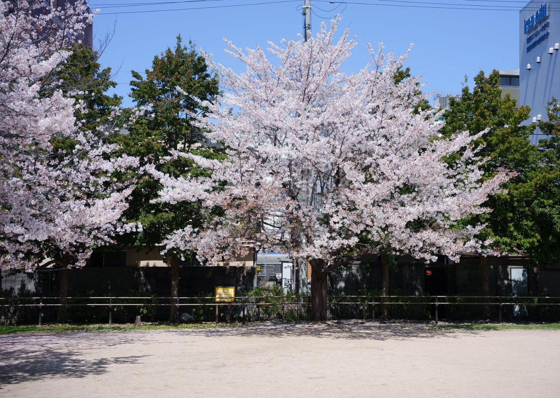 Konayuki Inn Machiya 粉雪の宿 5Min Walk From Kyoto St Exterior photo