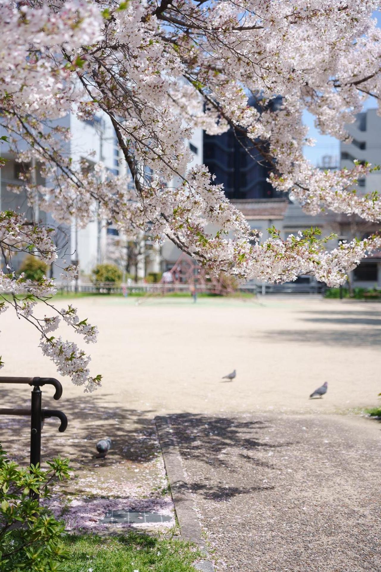 Konayuki Inn Machiya 粉雪の宿 5Min Walk From Kyoto St Exterior photo